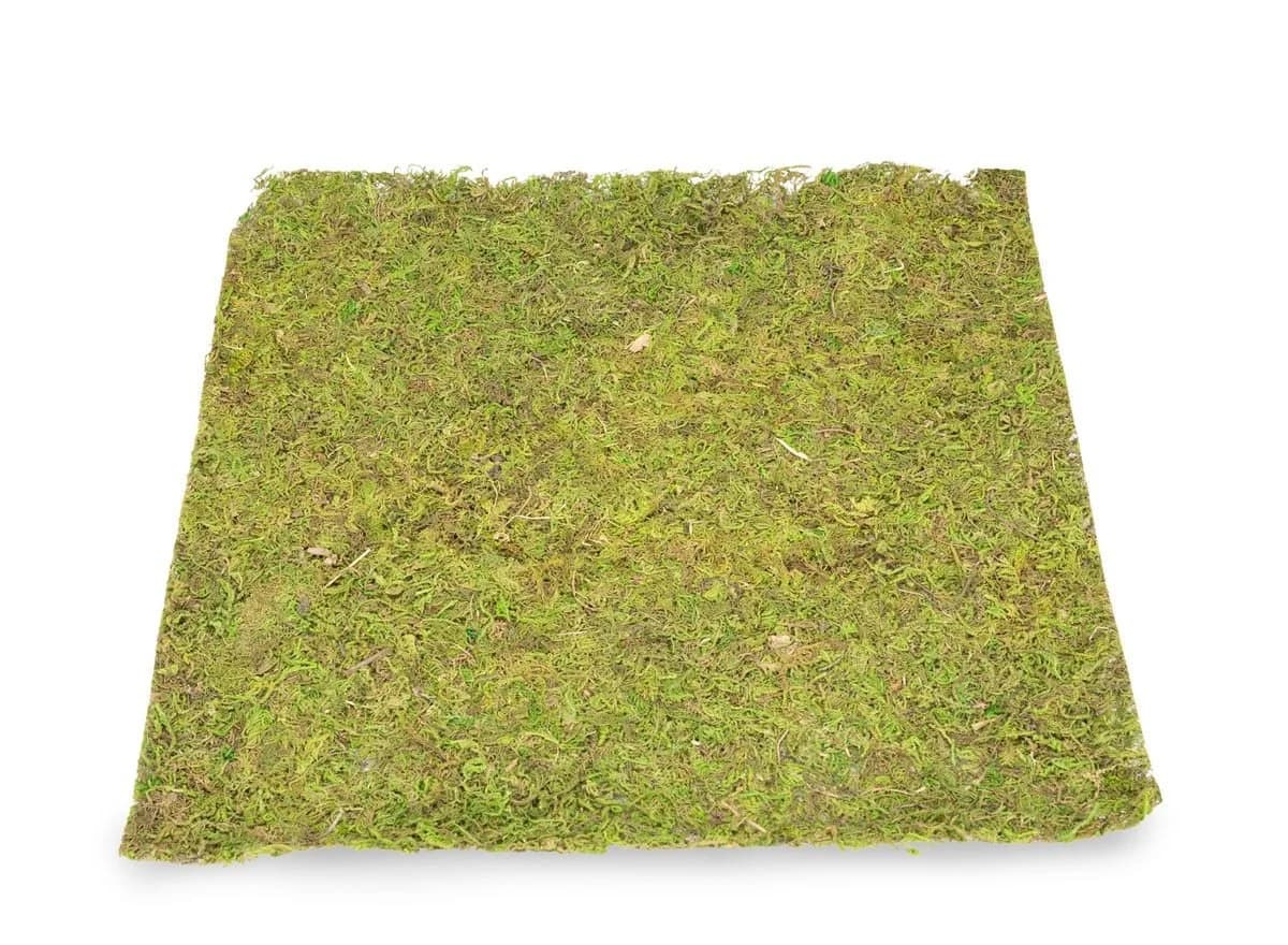 NaDeco Moosplatte Quadratisch 38x38cm Moosbild Bastelnaturmaterial - Bild 4