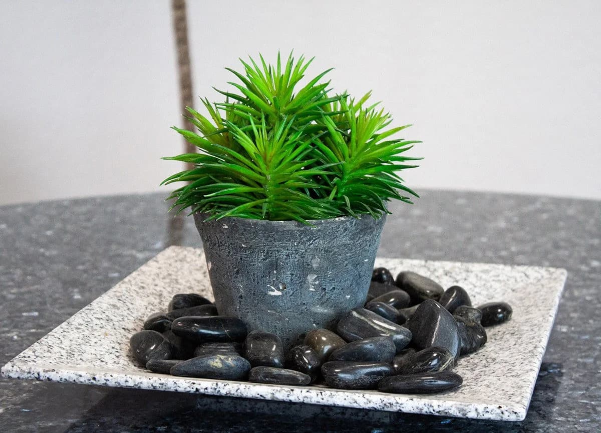 INTERGARDEN Zierkies Schwarz Poliert 2-3 cm, 1,5 kg - Bild 4