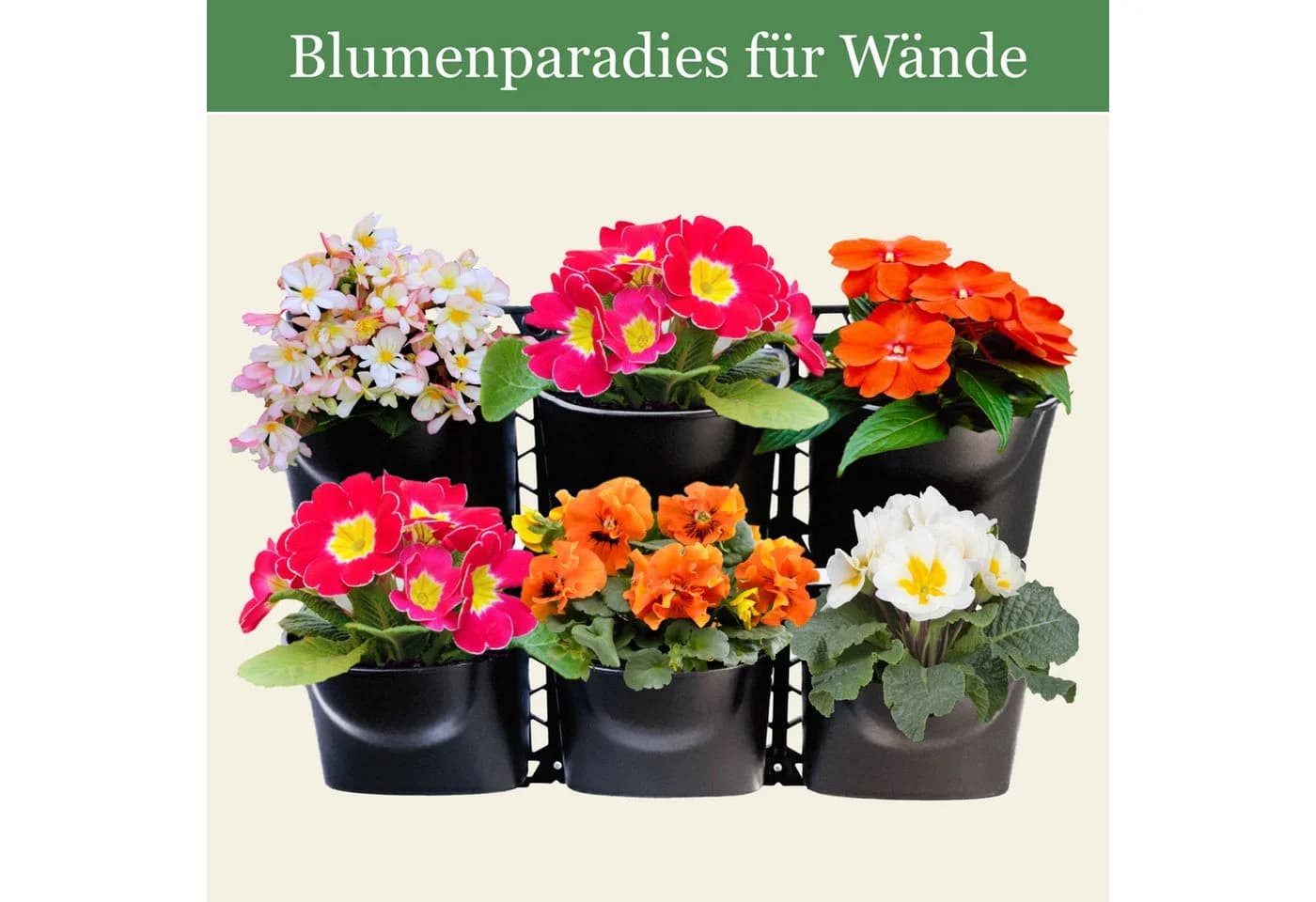 INTERGARDEN Pflanzwand 6 Pflanztöpfe Schwarz
