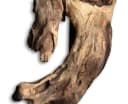 Levandeo® Nachttischlampe Treibholz Beige Bild 4