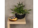Levandeo® Dekoschale Akazie 15cm Rund Holz Schale Bild 4