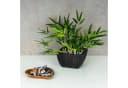 Levandeo® Holzschale Akazie 15cm Herz Design Obstschale Bild 4