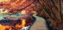 Levandeo® Leinwandbild Wald Herbstfarben XXL 115x55cm Bild 2