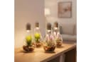 Levandeo® LED Dekoobjekt 4er Set Sukkulenten Glas Grün/Rosa Bild 2