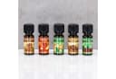Levandeo® Duftlampe 10er Set Weihnachtsduft Duftöle je 10ml Bild 4