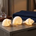 Levandeo® LED Deko Muschel 3er Set Weiß Porzellan Warmweiß Bild 2