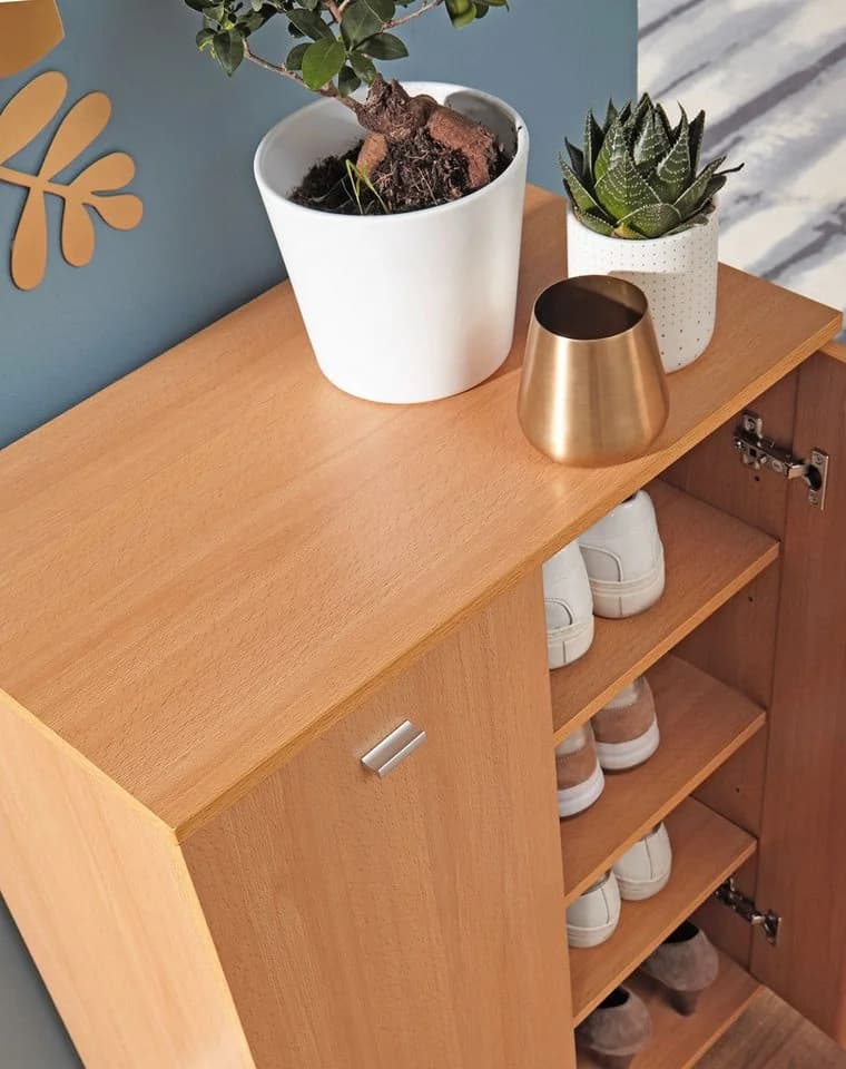 FINEBUY Schuhschrank Buche 60x90x35 cm mit 2 Türen Modern - Bild 4