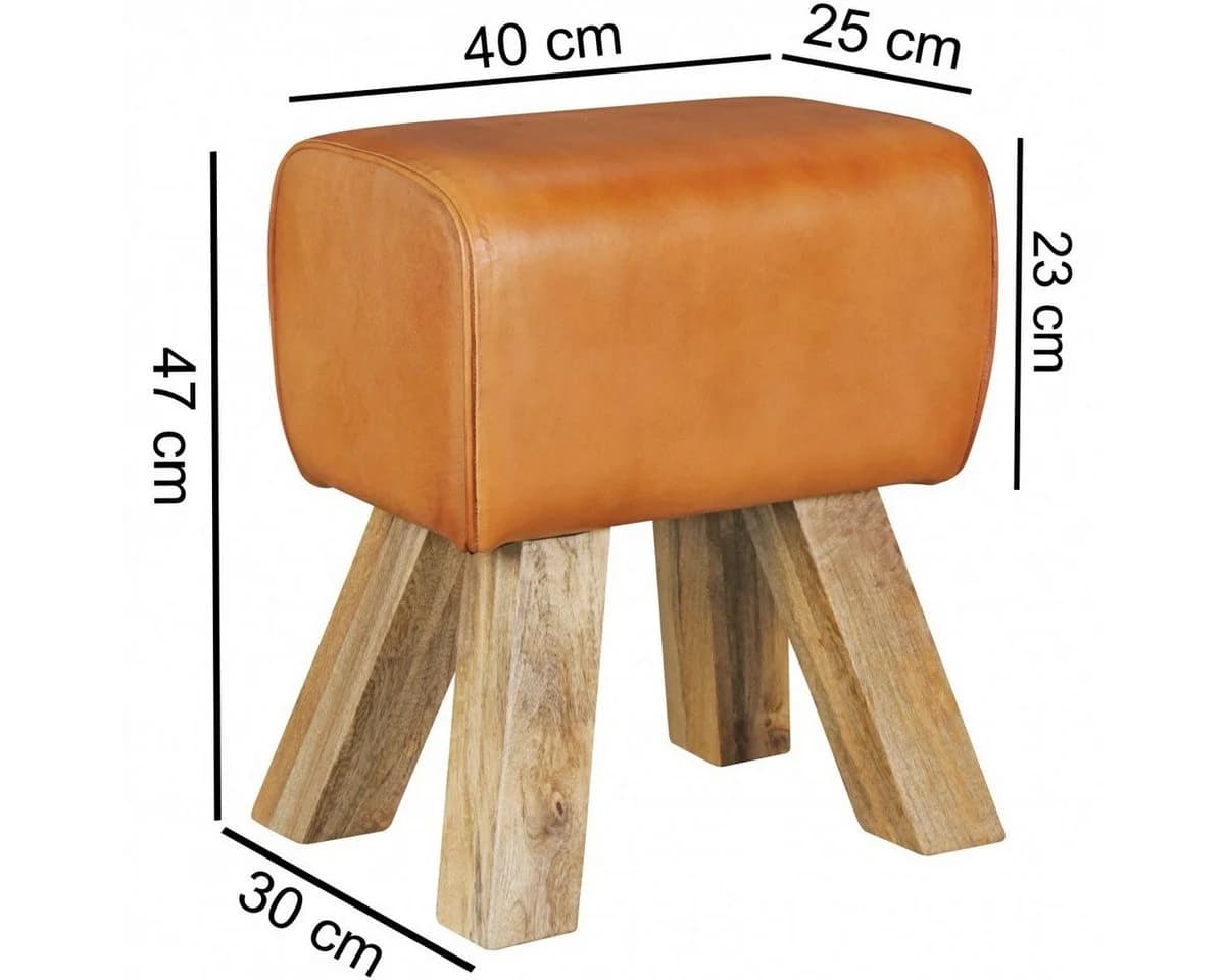 FINEBUY Sitzhocker Design Springbock Echtleder Braun - Bild 3