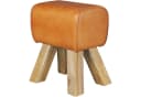 FINEBUY Sitzhocker Design Springbock Echtleder Braun Bild 5