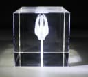 VIP-LASER Dekofigur 3D Glasquader Zwei Schwäne Transparent Bild 3