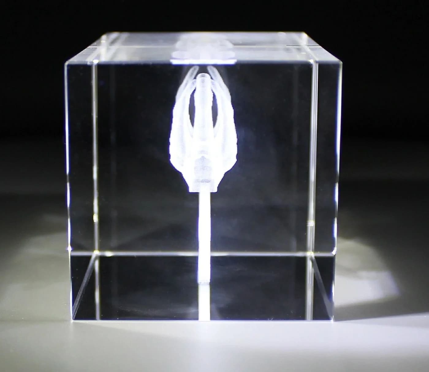 VIP-LASER Dekofigur 3D Glasquader Zwei Schwäne Transparent - Bild 3