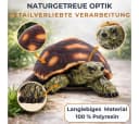 Topanbieter999 Gartenfigur Schildkröte Braun Polyresin Bild 5