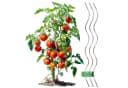 Gartenwelt Riegelsberger Tomatenspirale Stahl Silber Bild 1