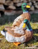 Geschenkestadl Tierfigur 2 Enten stehend/liegend Garten Deko Bild 1