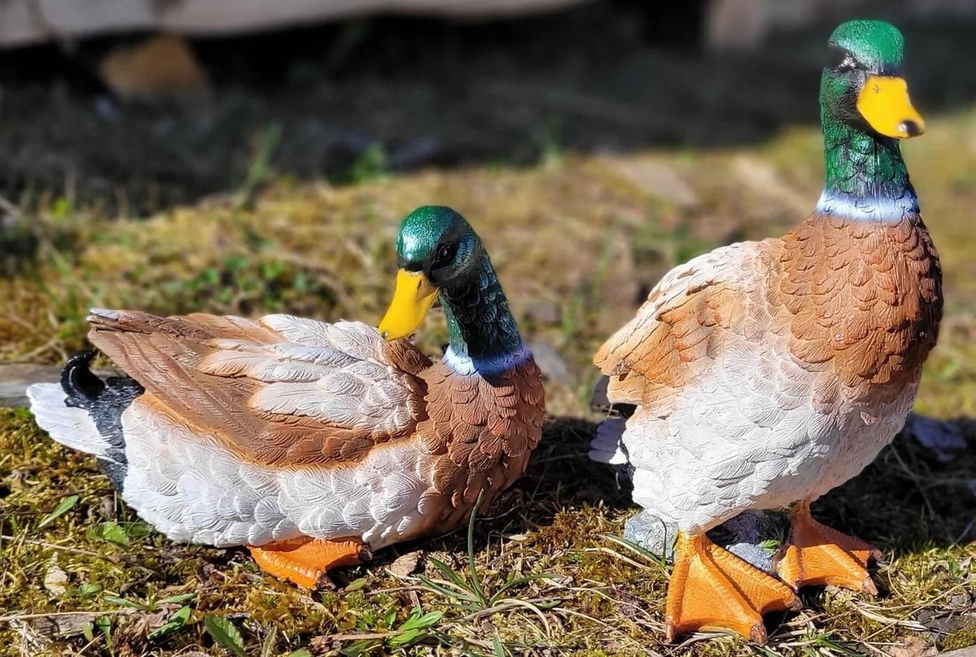 Geschenkestadl Tierfigur 2 Enten stehend/liegend Garten Deko - Bild 4