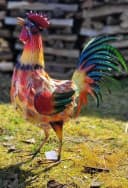 Geschenkestadl Metallhahn XXL 55cm Tierfigur Bauernhof Dekoration Bild 4