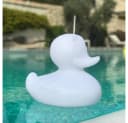 Licht-Trend Schwimmfähige Akku-LED-Leuchte Duck-Duck Weiß Bild 1