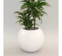 Elegant Einrichten Pflanzkübel Fiberglas Ball Perlmuttweiß Bild 3