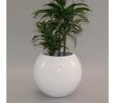 Elegant Einrichten Pflanzkübel Ball Fiberglas Hochglanz-Weiß Bild 3