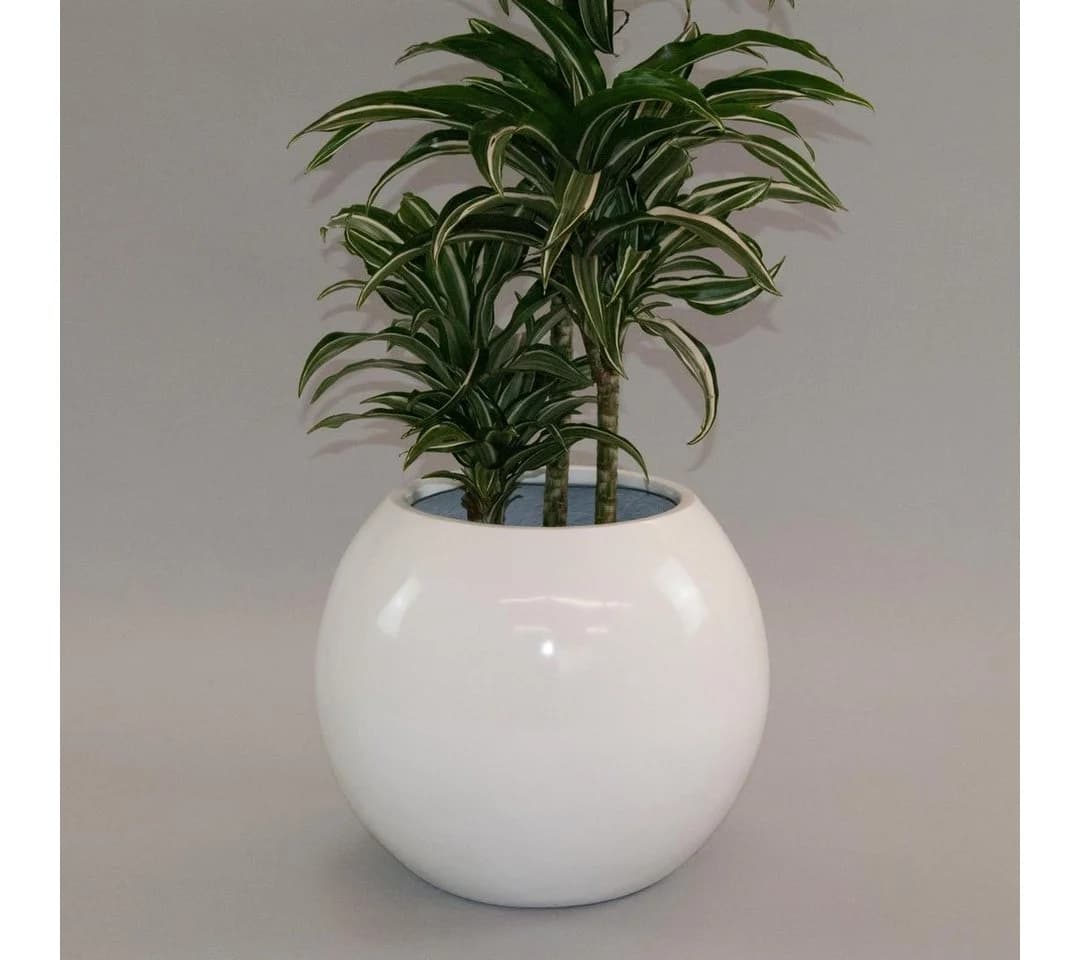 Elegant Einrichten Pflanzkübel Ball Fiberglas Hochglanz-Weiß - Bild 3