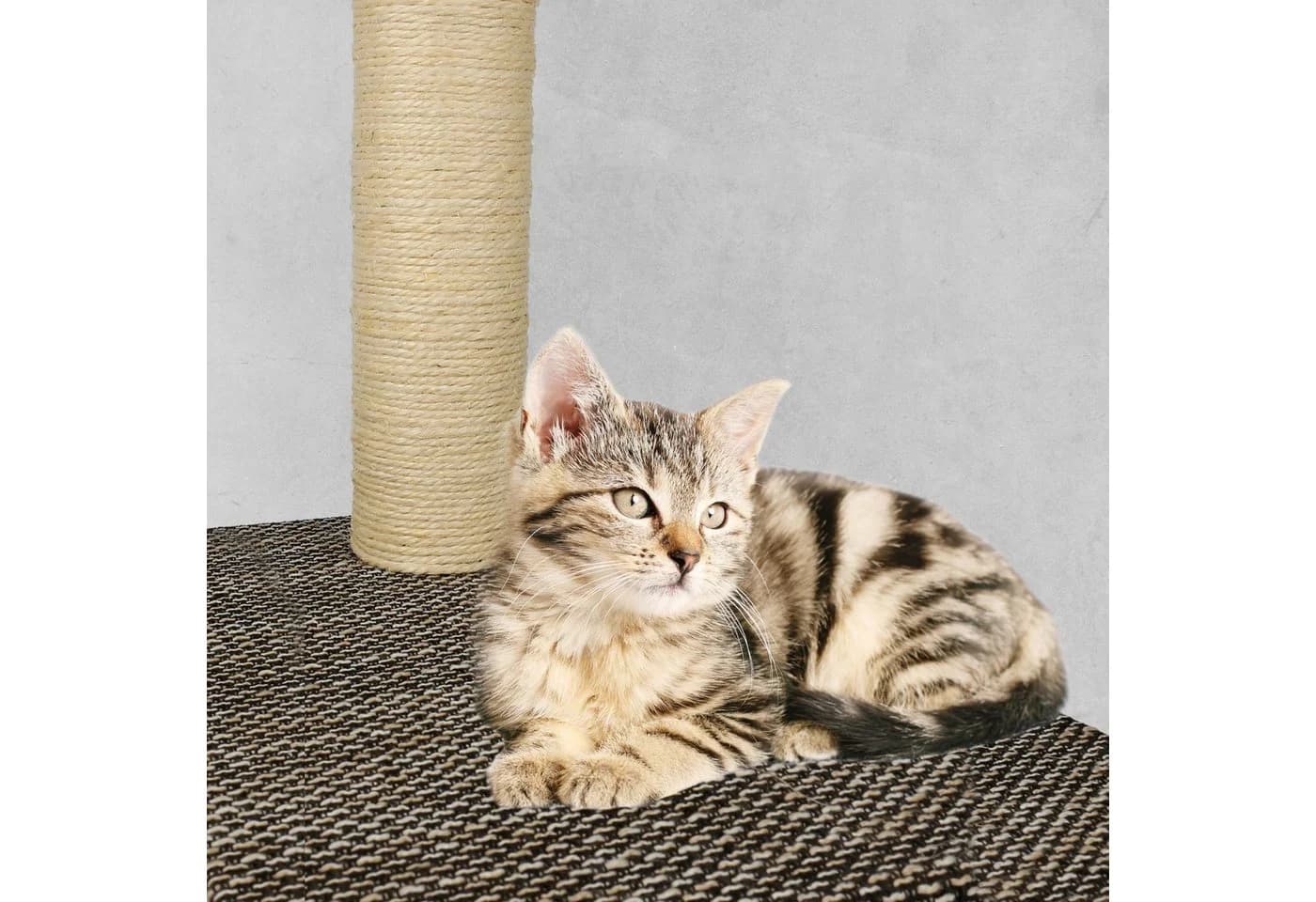 Lantelme Sisal Seil 50m 6mm Naturbelassen - Bild 3