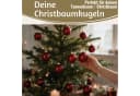 LS-LebenStil Weihnachtsbaumkugel 18-20er Set Glas Rot Ochsenblut 6cm Bild 5