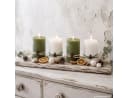 ZauberDeko Adventskerzen Stumpenkerzen Grün Creme 4 Stück mit Tannenbaum Bild 2