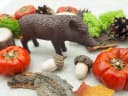ZauberDeko Herbst Deko Set Wildschwein Tischband Servietten Streudeko Bild 3