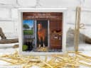 ZauberDeko Geschenkbox Geldgeschenk Reiten Pferd Weiß/Braun Bild 1
