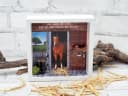 ZauberDeko Geschenkbox Geldgeschenk Reiten Pferd Weiß/Braun Bild 3