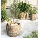 LebensWohnArt Dekokorb GINI Natural Grey Natur Rattan Bild 2