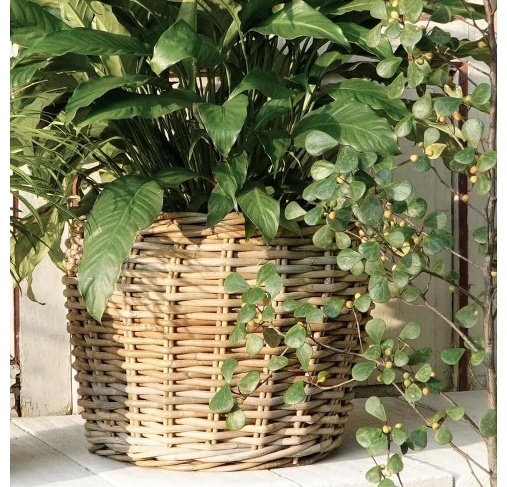LebensWohnArt Dekokorb GINI Natural Grey Natur Rattan - Bild 3