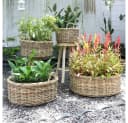LebensWohnArt Pflanzschale Rattan NORDERNEY Grau mit Griffen Bild 1