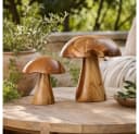 LebensWohnArt Teak-Deko-Pilze 2er Set JAMUR Braun Bild 4