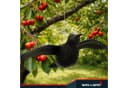 WELLGRO Vogelschreck Krähe Set 3-tlg. Schwarz Bild 5