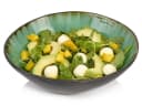 SÄNGER Salatschüssel Palm Beach Grün/Türkis Krakellee-Effekt Steingut Bild 2
