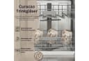 SÄNGER Gläser-Set Curacao 4-tlg. mit Punktmuster bunt Bild 4