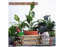 Engelland Blumentopf mit Drainagesystem Orange PP-Kunststoff Bild 3