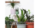 Engelland Blumentopf mit Drainagesystem Orange PP-Kunststoff Bild 5