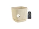Engelland Blumentopf Pflanztopf mit Drainagesystem & Untersetzer 15 x 15 cm, 2 Liter, 1 St., robuster PP-Kunststoff, eckig, Rillenoptik, UV-resistent, direkte Bepflanzung Bild 2