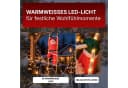 Gartenpirat Weihnachtsmann Lichterkette mit LED beleuchteter Leiter Bild 4