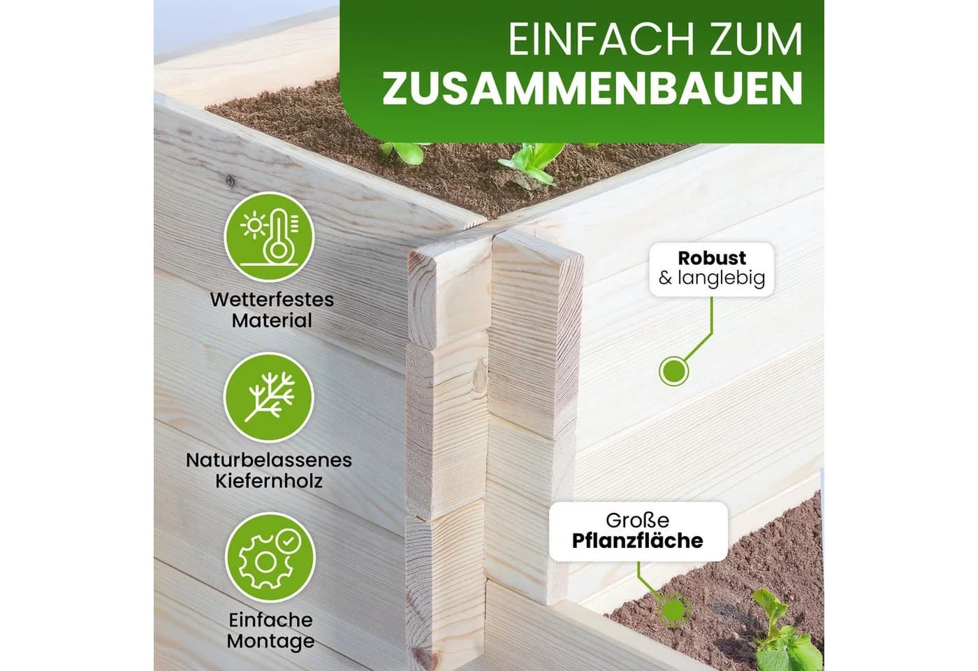 Gartenwelt Riegelsberger Kräuterbeet Stufenbeet Kiefer Natur