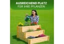 Gartenwelt Riegelsberger Kräuterbeet Stufenbeet Kiefer Natur Bild 5