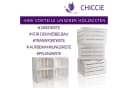 CHICCIE Holzkiste Langes Regal Weiß 3er Set Bild 3