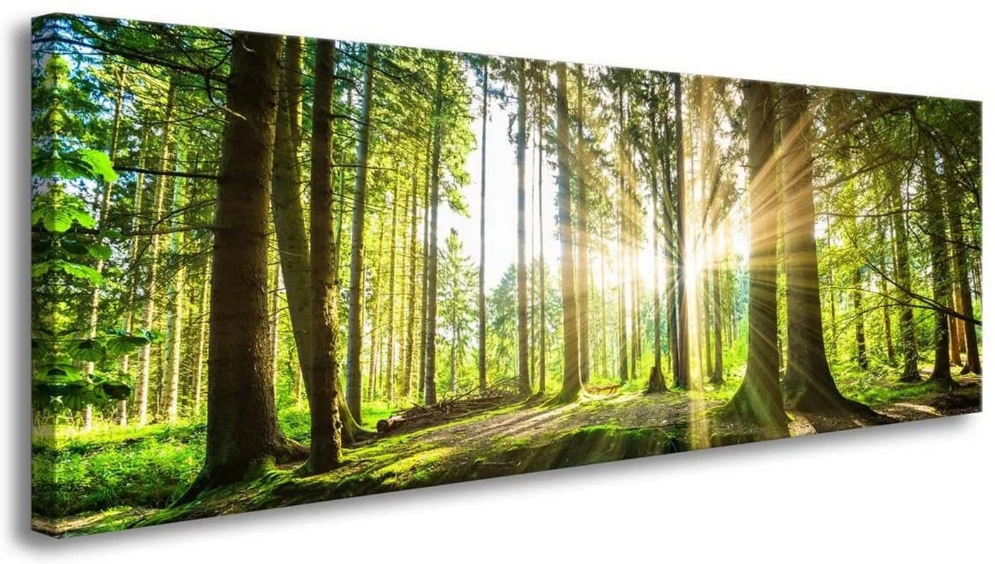 Visario Leinwandbild 1-teilig fertig gerahmt 120x40 cm