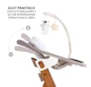 Hauck Hochstuhl Alpha Plus Walnut Deluxe Set Massivholz Bild 3