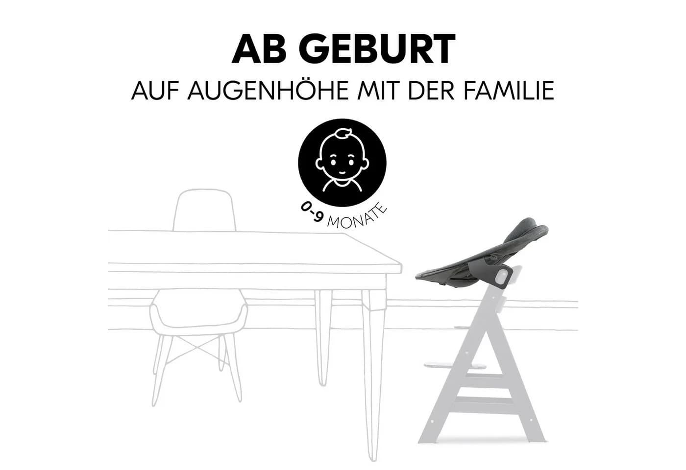 Hauck Hochstuhl Alpha Plus Natur Newborn Set Premium Dark Grey - Bild 4