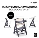 Hauck Hochstuhl Beta Plus Dark Grey Newborn Set Bild 3