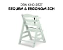Hauck Hochstuhl Alpha Plus Mint - Charcoal mit Click Tray & Sitzkissen Bild 5