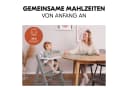 Hauck Hochstuhl Alpha Plus Grey Massivholz mitverstellbar Bild 1
